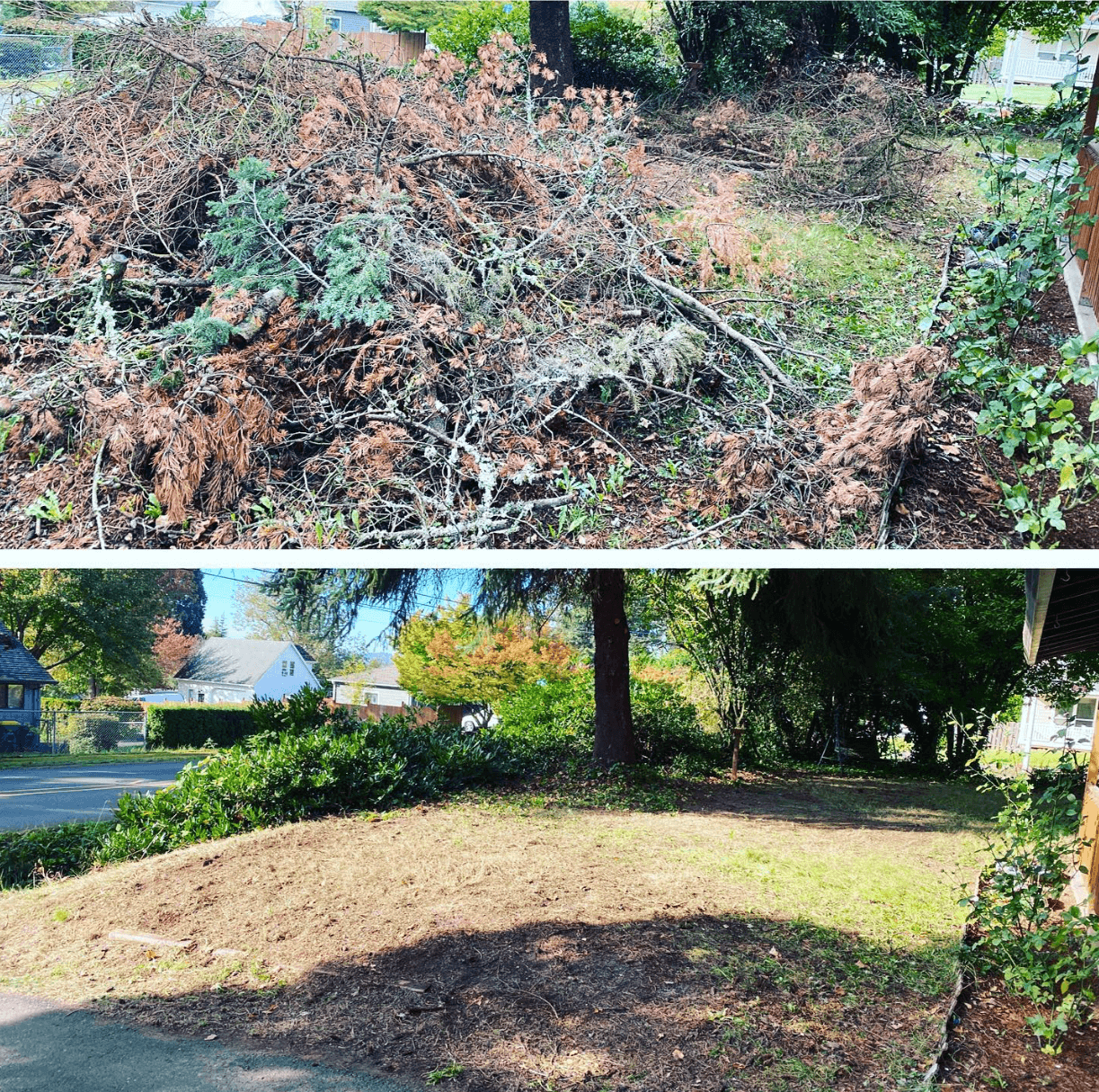 Before and after cleanup showing a large yard debris pile removed from an outdoor area.